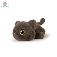 balck cat