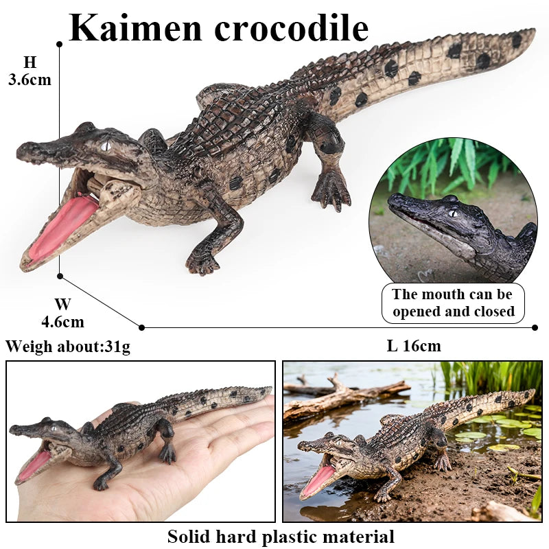Oenux Wild Animals Action Figures Simulation Sarcosuchus Crocodiles Boar Croc Model PVC Collection Decorate Kids Educational Toy