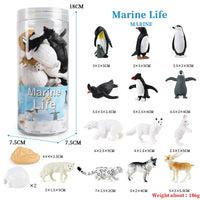 animals model set 7