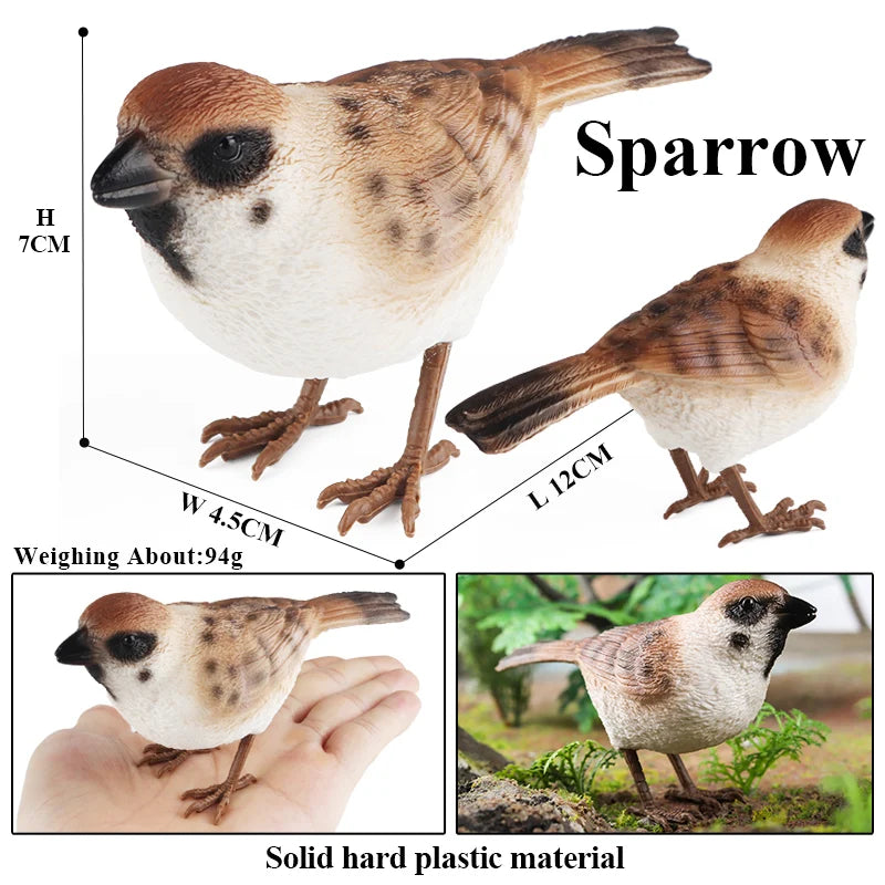 Oenux Garden Bird Figurines Snowy Owl Toucan Bucerotidae Animals Model PVC Action Figures Collection Toys For Kids Birthday Gift