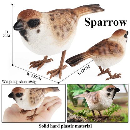 Oenux Garden Bird Figurines Snowy Owl Toucan Bucerotidae Animals Model PVC Action Figures Collection Toys For Kids Birthday Gift