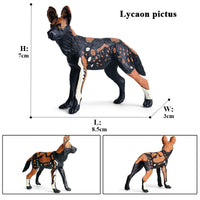 1piece dog model 2