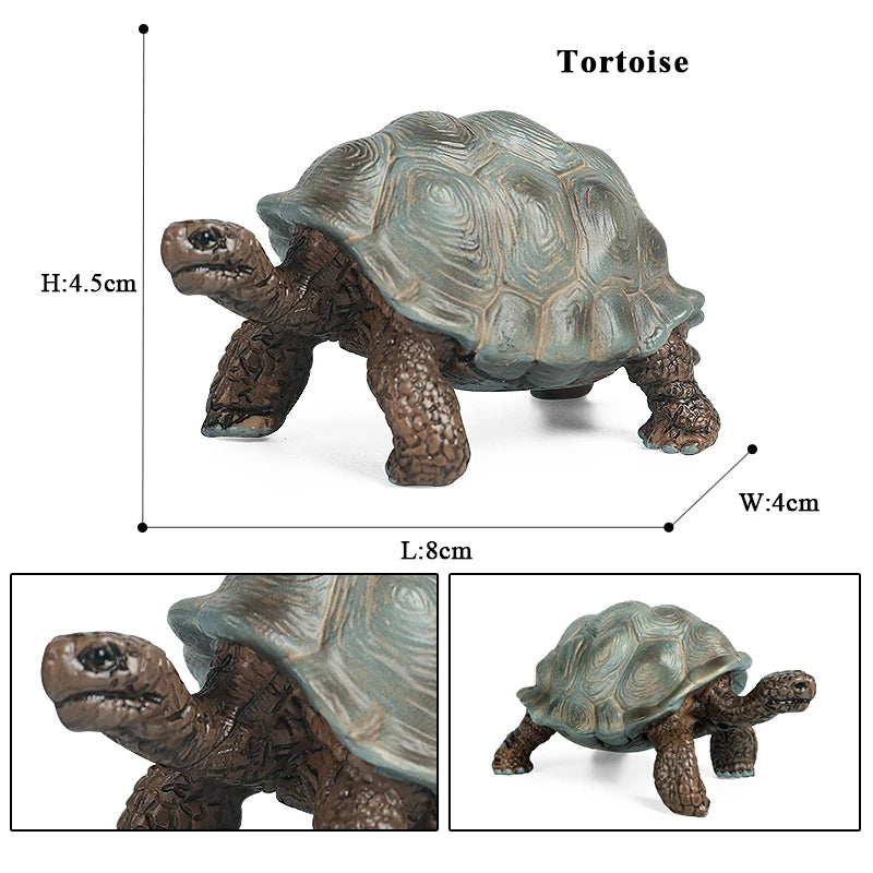 Oenux Ocean Animals  Leatherback Tortoise Turtle Growth Cycle Sea Life Model Figurines Action Figures PVC Education Kid Toy Gift