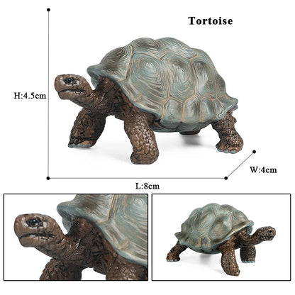 Oenux Ocean Animals  Leatherback Tortoise Turtle Growth Cycle Sea Life Model Figurines Action Figures PVC Education Kid Toy Gift