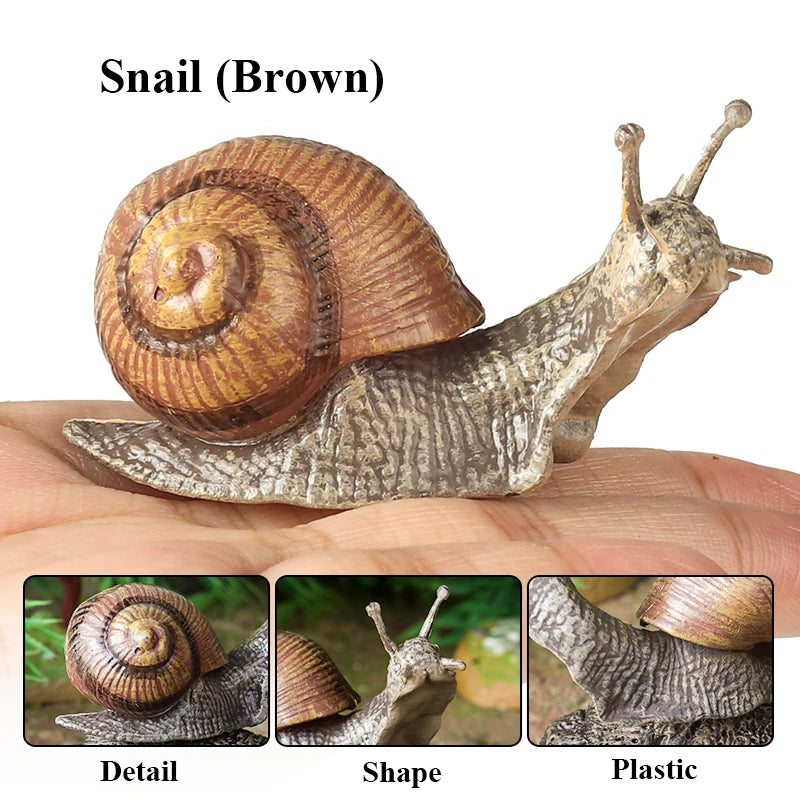 Oenux Wild Insect Animals Snails Growth Cycle Model Garden Decoration Figurines PVC Miniature Cute Education Kids Toys