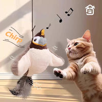 Grey Cat Bird