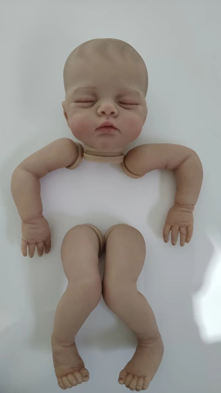 NPK 19inch New Arrival Already PaintedTwins Kit Lily and Irys Soft Touch Hand Painted with Veins Cloth body included