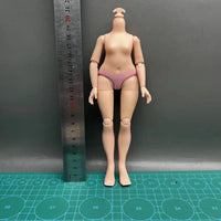 B21-Height 24cm