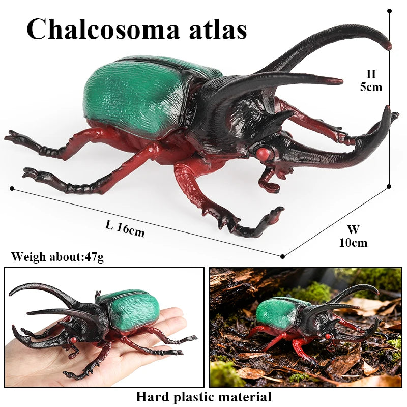Oenux Insect Animals Model Figurine Butterfly Ant Dragonfly Spider Bee Mantis Scorpion Action Figures Educational Kid Toy Gift