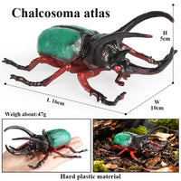 insect model 15