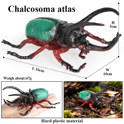 Oenux Insect Animals Model Figurine Butterfly Ant Dragonfly Spider Bee Mantis Scorpion Action Figures Educational Kid Toy Gift
