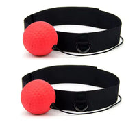 2 Set Boxing Ball