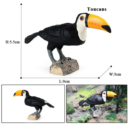 Oenux Garden Bird Figurines Snowy Owl Toucan Bucerotidae Animals Model PVC Action Figures Collection Toys For Kids Birthday Gift