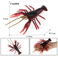 Shrimp model 9