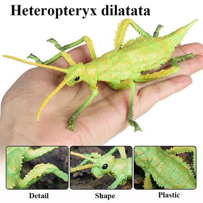 Oenux Insect Animals Model Figurine Butterfly Ant Dragonfly Spider Bee Mantis Scorpion Action Figures Educational Kid Toy Gift