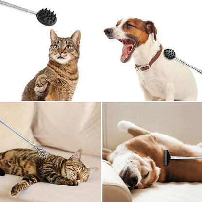 Extendable Cactus Back Scratcher with 1/4-inch & 1/2-inch Spikes, Retractable One-Hand Itch Stick for Men & Women, Durable PVC