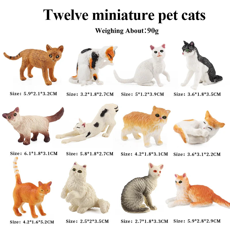 Oenux Montessori Toy Wild Farm Dinosaur Ocean Cat Animals Model Action Figure Zoo Figurines Cute Miniature Education Kid Gift