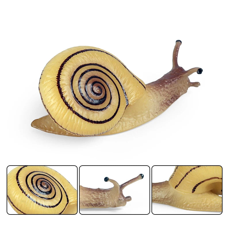Oenux Wild Insect Animals Snails Growth Cycle Model Garden Decoration Figurines PVC Miniature Cute Education Kids Toys