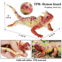 animals model 26
