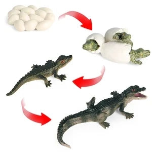 Oenux Wild Animals Action Figures Simulation Sarcosuchus Crocodiles Boar Croc Model PVC Collection Decorate Kids Educational Toy