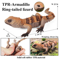 animals model 24