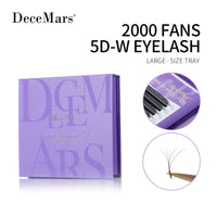 5D 2000 FANS