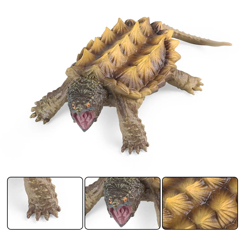 Oenux Ocean Animals  Leatherback Tortoise Turtle Growth Cycle Sea Life Model Figurines Action Figures PVC Education Kid Toy Gift