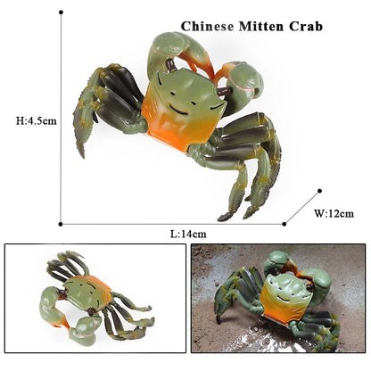 Oenux Simulation Ocean Sea Life Animals Model Lovely Crab Action Figures Toy Cake Toppers Collection Jouet Kids Education Gift