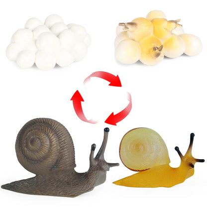 Oenux Wild Insect Animals Snails Growth Cycle Model Garden Decoration Figurines PVC Miniature Cute Education Kids Toys