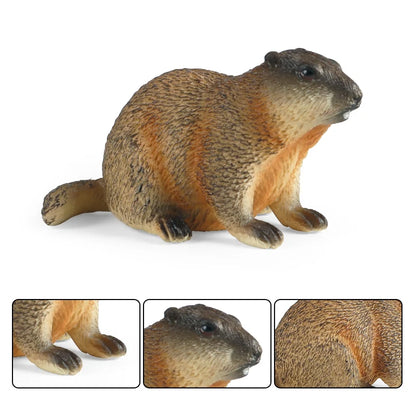 Oenux Wild Animals Simulation Rodent Marmot Mouse Model Squirrel Rat Chinchilla Action Figure Figurine Collection Cute Kid Toy