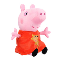 PP009