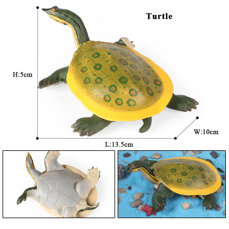 Oenux Ocean Animals  Leatherback Tortoise Turtle Growth Cycle Sea Life Model Figurines Action Figures PVC Education Kid Toy Gift