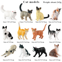 12pcs 18