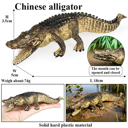 Oenux Wild Animals Action Figures Simulation Sarcosuchus Crocodiles Boar Croc Model PVC Collection Decorate Kids Educational Toy