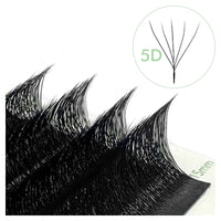 W-shaped 5D