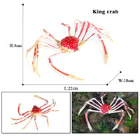 animal model 29