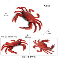 animal model 19