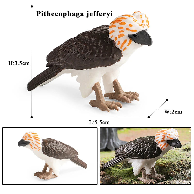 Oenux Garden Bird Figurines Snowy Owl Toucan Bucerotidae Animals Model PVC Action Figures Collection Toys For Kids Birthday Gift