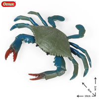ocean toy 5