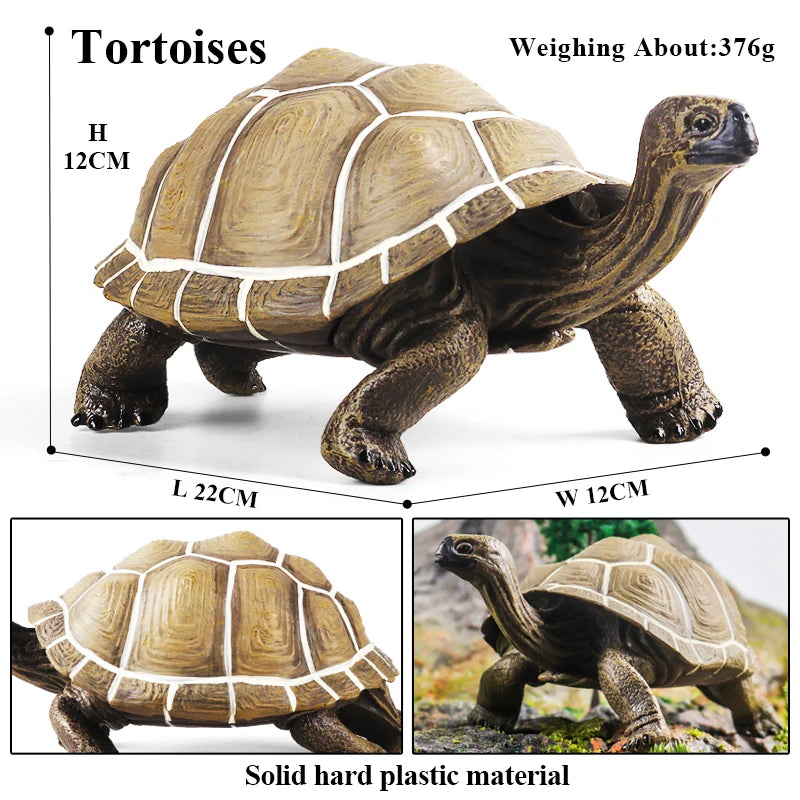 Oenux Ocean Animals  Leatherback Tortoise Turtle Growth Cycle Sea Life Model Figurines Action Figures PVC Education Kid Toy Gift