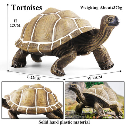 Oenux Ocean Animals  Leatherback Tortoise Turtle Growth Cycle Sea Life Model Figurines Action Figures PVC Education Kid Toy Gift
