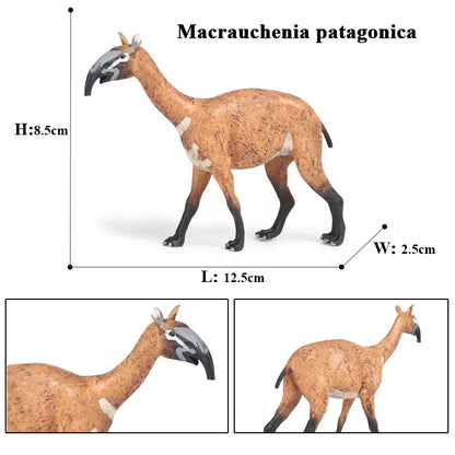 Oenux Prehistoric Wild Animals Simulation Armadillo Doedicurus Sabretooth Model Action Figures PVC Collection Toy For Kid Gift
