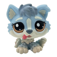 Puppy 1683