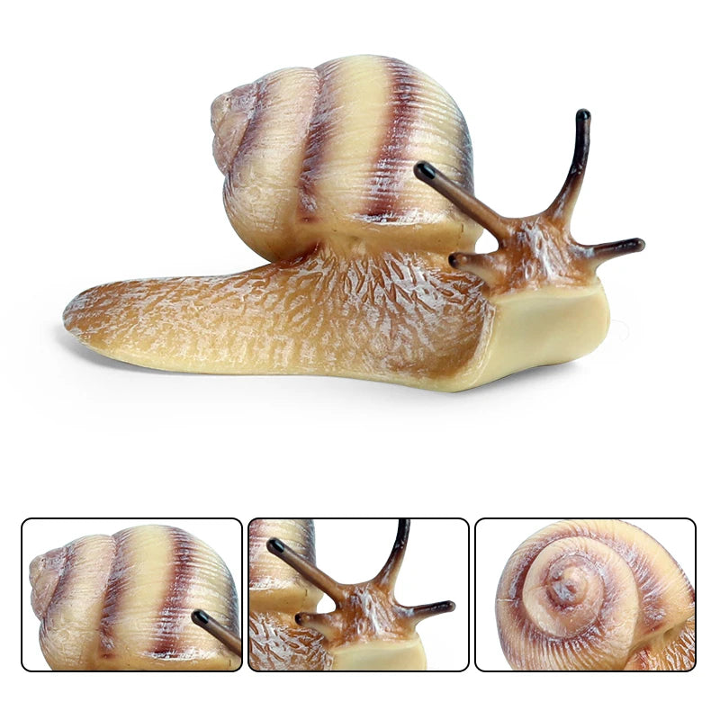 Oenux Wild Insect Animals Snails Growth Cycle Model Garden Decoration Figurines PVC Miniature Cute Education Kids Toys