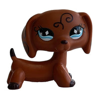 Dachshund 640