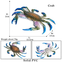 animal model 16