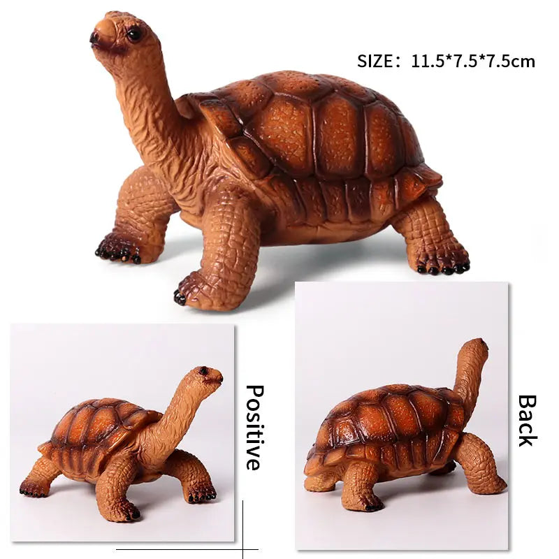 Oenux Ocean Animals  Leatherback Tortoise Turtle Growth Cycle Sea Life Model Figurines Action Figures PVC Education Kid Toy Gift