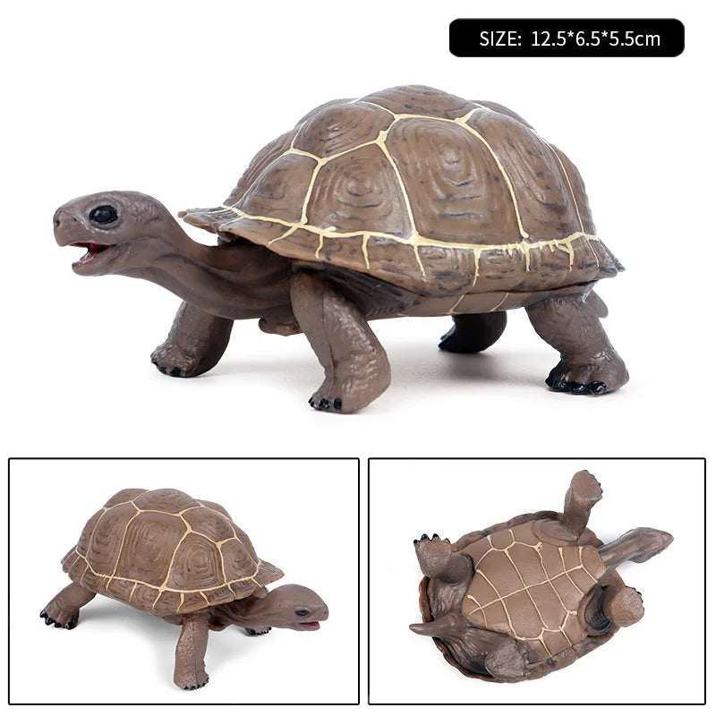Oenux Ocean Animals  Leatherback Tortoise Turtle Growth Cycle Sea Life Model Figurines Action Figures PVC Education Kid Toy Gift