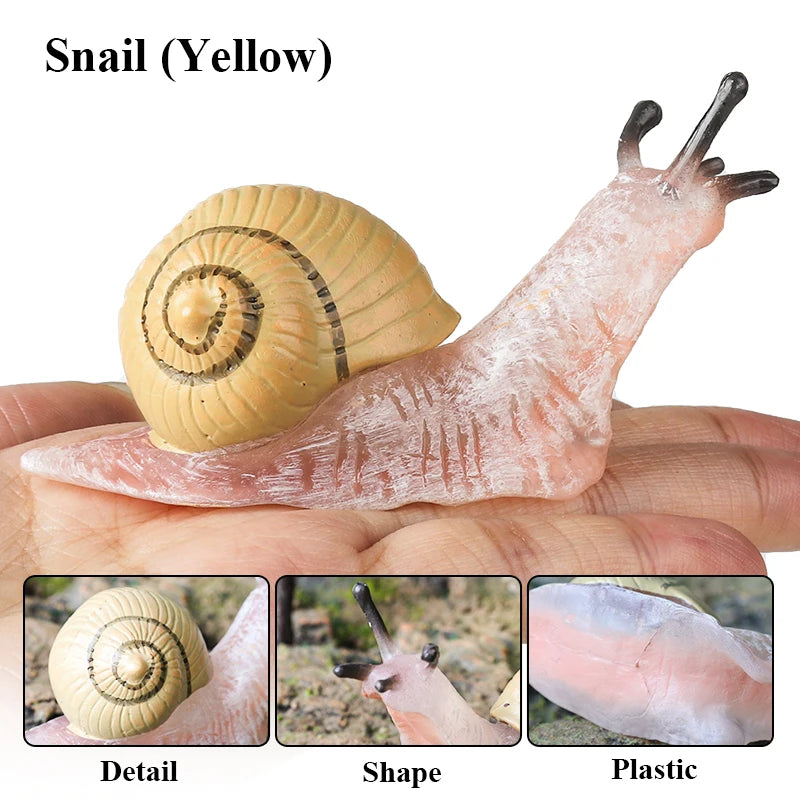 Oenux Wild Insect Animals Snails Growth Cycle Model Garden Decoration Figurines PVC Miniature Cute Education Kids Toys