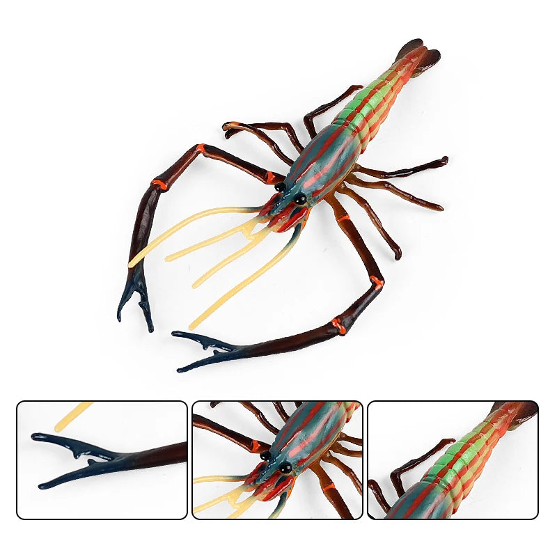 Oenux Ocean Animals Simulation Tiger Prawn Crayfish Shrimp Sea Life Model Figurines Action Figures Collection Toys For Kids Gift